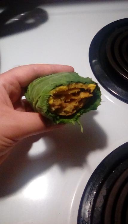 Half-eaten chimichanga wrapped in wilted chilacayote squash leaves.