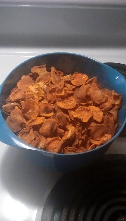 Dried apricot halves in a blue melamine bowl. July 2020.