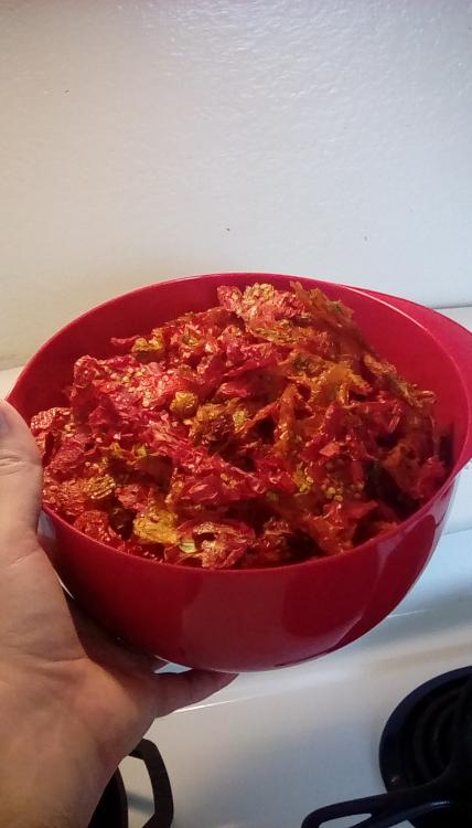 Dehydrated tomatoes in a red melamine bowl on stove. 1 August 2020.