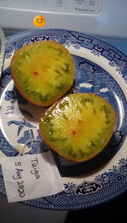 Taiga tomato fruit, cut. 5 August 2020.