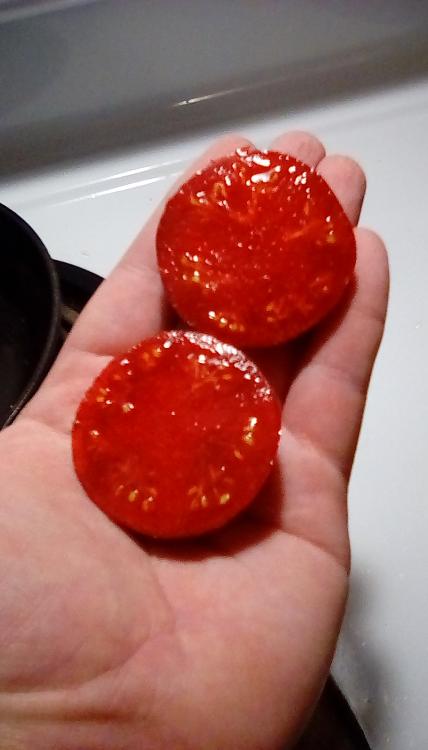 Queen of the Night tomato fruit, sliced in two. 25 August 2020.