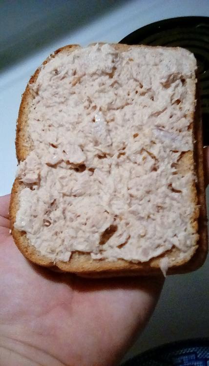 Tuna fish sandwich with pickle powder and homemade wasabi-tasting egg-free mayonnaise. 7 November 2020.
