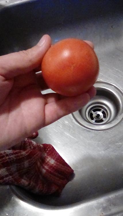 Buckbee's New 50-day tomato fruit, whole.