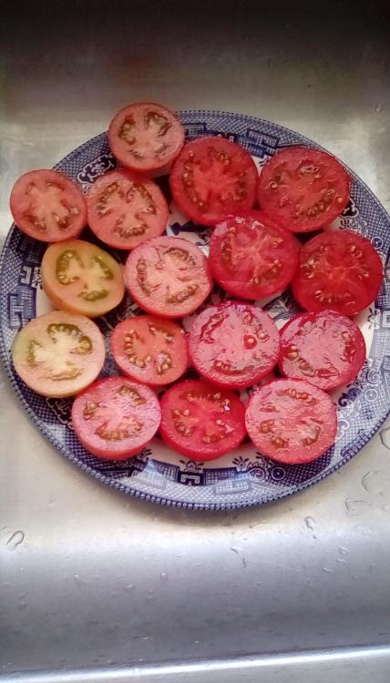 Early Girl F1 tomato fruits, sliced.