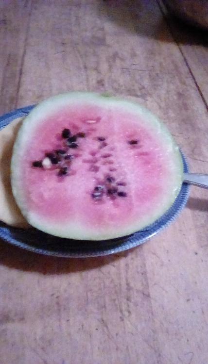 Santo Domingo watermelon fruit, sliced open. It has pink flesh and black seeds.