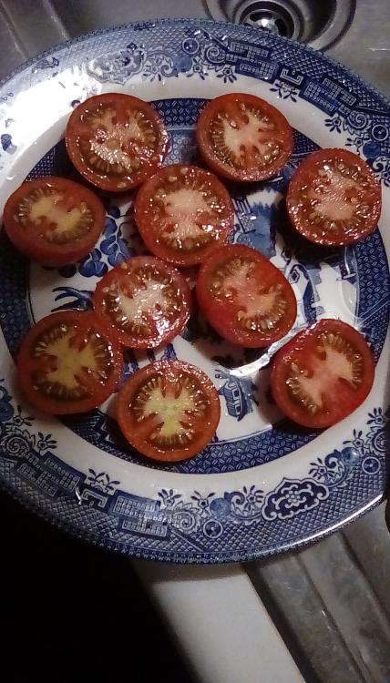 Matina tomato fruit, cut.