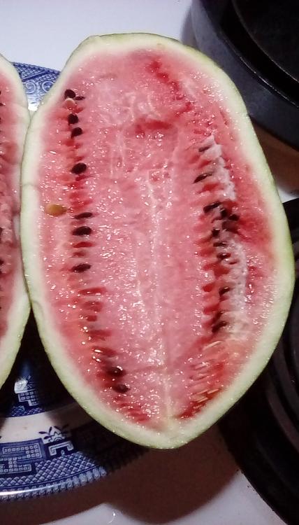 Congo cross watermelon sliced open.