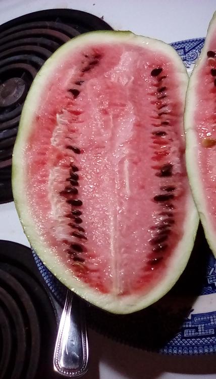 Congo cross watermelon sliced open.