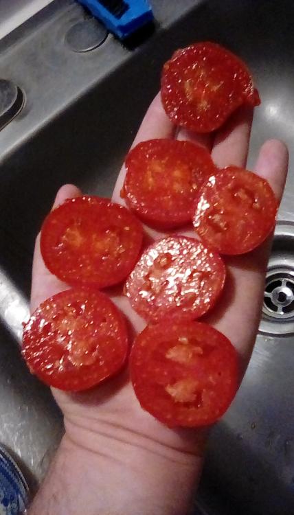 Polish Linguisa tomato fruit, sliced.