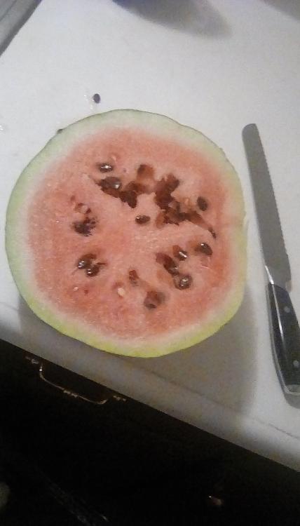 Sliced Corner Round watermelon on a countertop next to a large bread knife. The fruit has red flesh, and dark seeds.