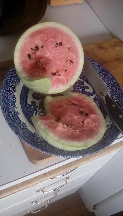 A wintermelon watermelon, cut open. It has pink flesh and dark seeds, with a light-colored striped rind. It is on a plate with a knife next to it, each on a cutting board.