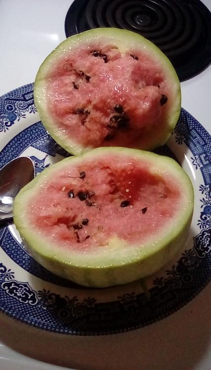 A sliced open Winter Queen watermelon on a plate on a stove. Pink flesh and black seeds. A spoon can be seen, in part.