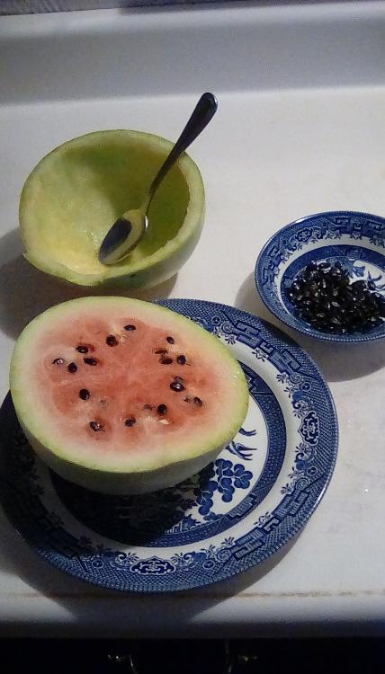 Half of a Navajo Winter watermelon, with a thick, but sweet rind, on a plate. Behind it is an empty rind of the same fruit with a spoon in it; a small bowl containing glistening black seeds from that half of the fruit is next to it. The uneaten half of the fruit has red flesh.