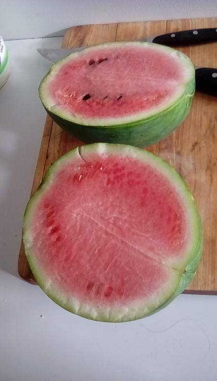Weeks NC Giant cross watermelon fruit sliced in two. It has pink flesh and dark seeds. It is on a wooden cutting board. The fruit has stars, but only one star is only partially visible.